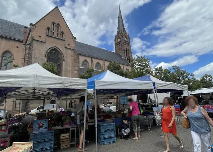 Riedheim - Proche Gare - Charme, Confort Et Calme
